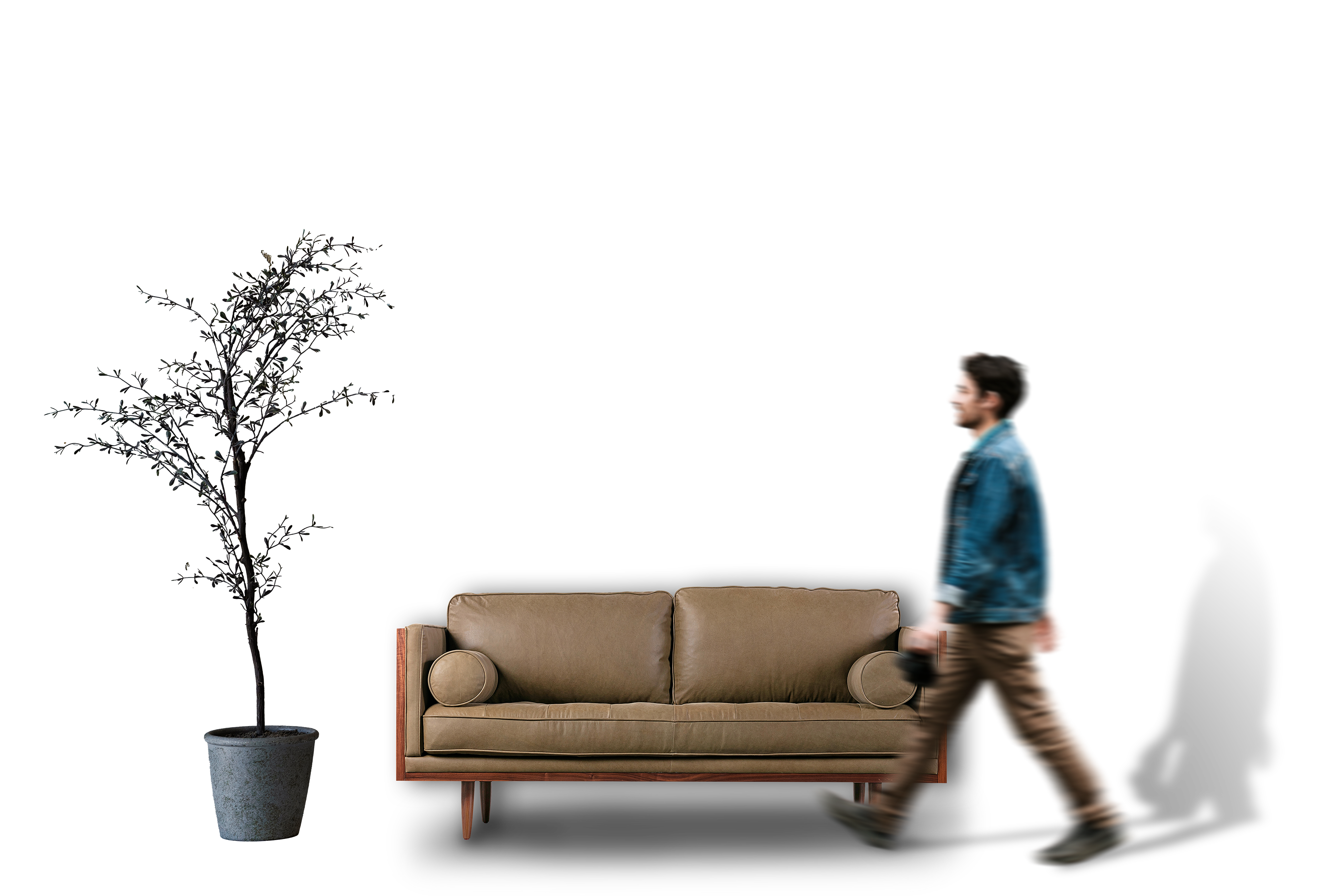 decoration