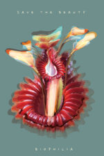Biofilia, save the beauty