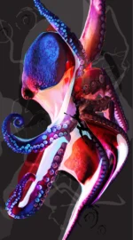 De la serie Nueva Zoología: “Cefalópodo II”