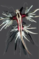 De la serie Nueva Zoología: “Dragón de fuego”