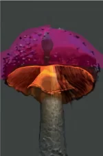 De la seria Nueva Zoología: “Fungi”