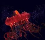 De la serie Nueva Zoología: “Jellyfish red“