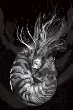 De la serie Nueva Zoología: “Nautilus I”