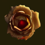 De la serie Cloris: “Rosa”