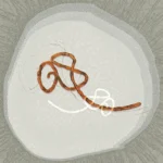 De la serie Microcosmos: “Yambuku II”
