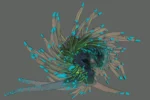 De la serie Nueva Zoología: “Anémona de hielo”