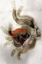 De la serie Microcosmos: “Microcosmos”