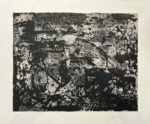 Erupción gris