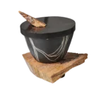 Akída