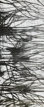 Bosque