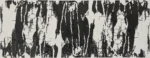 Fragmentado