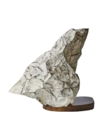 Paloma